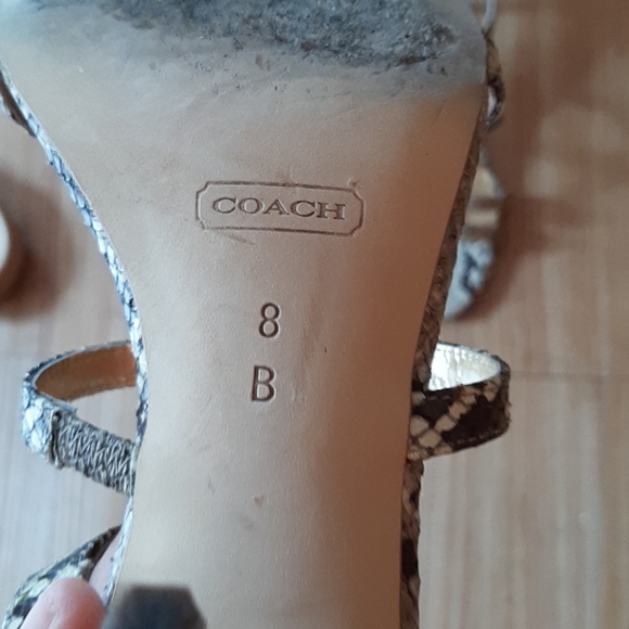 Coach Hayden snake print size 8 - Picture 2 of 3